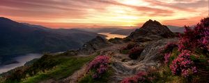 Preview wallpaper mountains, relief, wild flowers, twilight, landscape