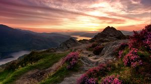 Preview wallpaper mountains, relief, wild flowers, twilight, landscape