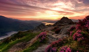 Preview wallpaper mountains, relief, wild flowers, twilight, landscape