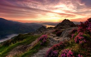 Preview wallpaper mountains, relief, wild flowers, twilight, landscape