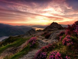 Preview wallpaper mountains, relief, wild flowers, twilight, landscape