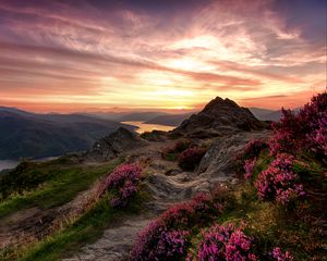 Preview wallpaper mountains, relief, wild flowers, twilight, landscape