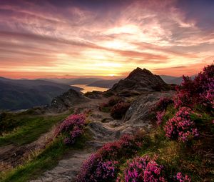 Preview wallpaper mountains, relief, wild flowers, twilight, landscape