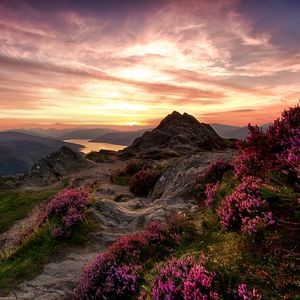 Preview wallpaper mountains, relief, wild flowers, twilight, landscape