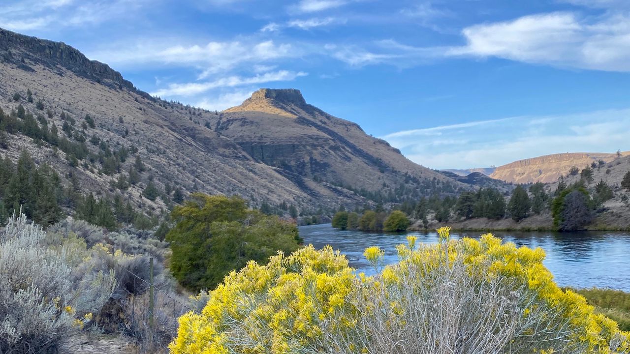 Wallpaper mountains, river, bushes, nature, landscape