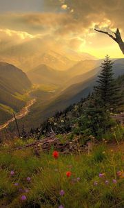 Preview wallpaper mountains, river, decline, evening, flowers, multi-colored