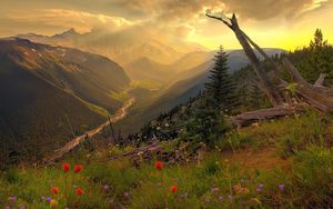 Preview wallpaper mountains, river, decline, evening, flowers, multi-colored