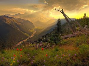 Preview wallpaper mountains, river, decline, evening, flowers, multi-colored