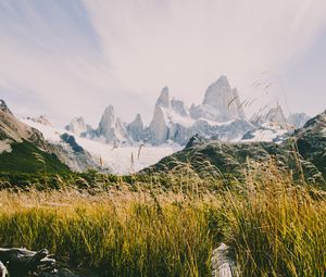 Preview wallpaper mountains, river, grass, landscape, mountain range