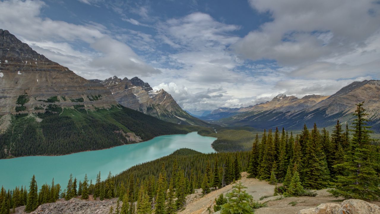 Wallpaper mountains, river, spruce, trees, valley hd, picture, image