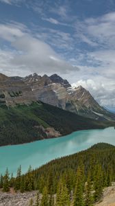 Preview wallpaper mountains, river, spruce, trees, valley