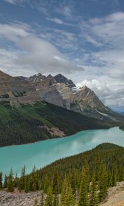 Preview wallpaper mountains, river, spruce, trees, valley