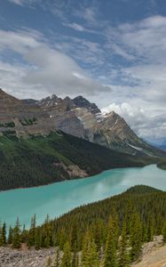 Preview wallpaper mountains, river, spruce, trees, valley