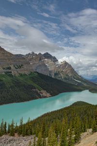 Preview wallpaper mountains, river, spruce, trees, valley