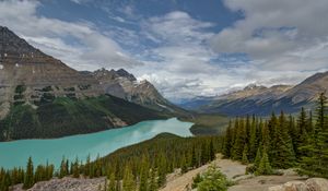 Preview wallpaper mountains, river, spruce, trees, valley