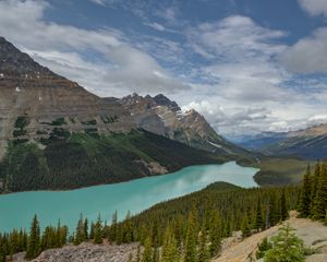 Preview wallpaper mountains, river, spruce, trees, valley