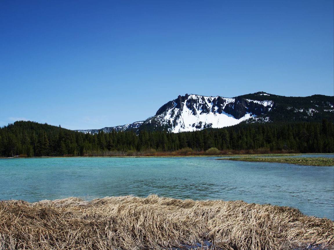 1152x864 Wallpaper mountains, river, trees, forest, landscape