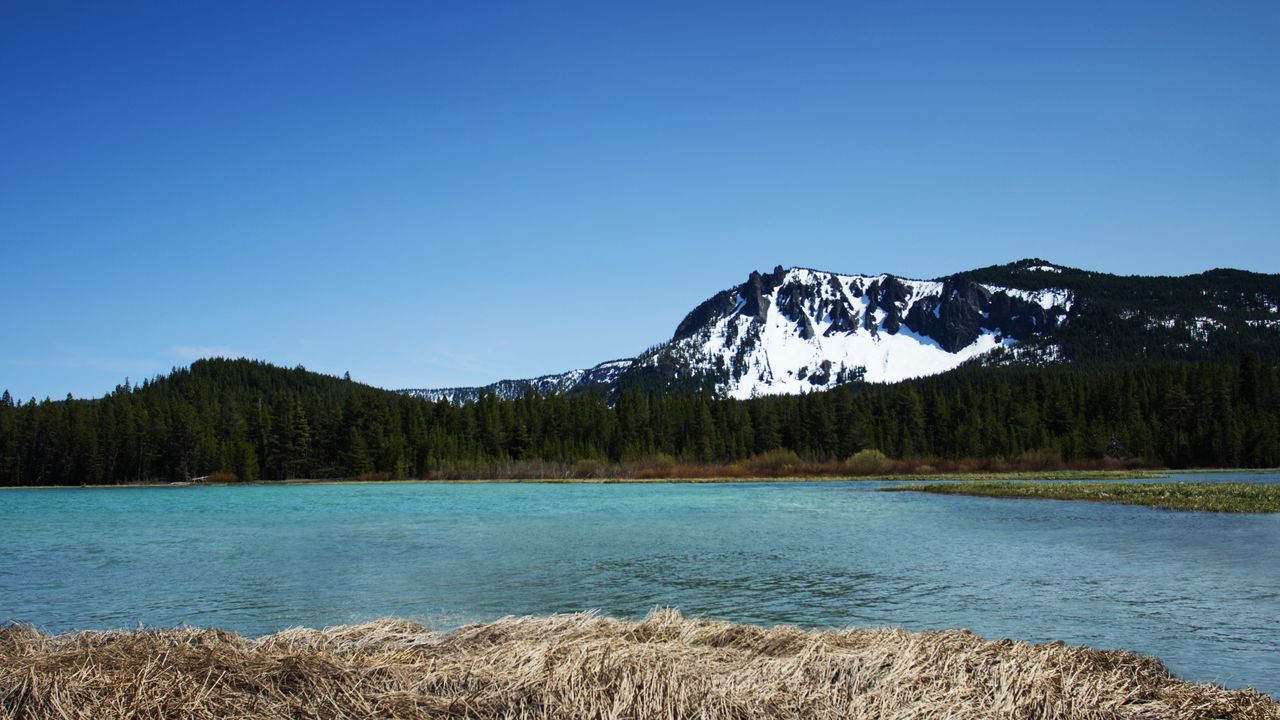 Wallpaper mountains, river, trees, forest, landscape