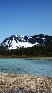 Preview wallpaper mountains, river, trees, forest, landscape