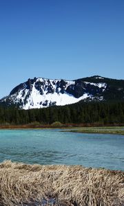 Preview wallpaper mountains, river, trees, forest, landscape