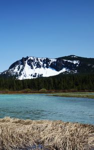 Preview wallpaper mountains, river, trees, forest, landscape