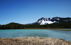 Preview wallpaper mountains, river, trees, forest, landscape