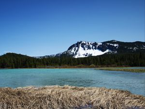 Preview wallpaper mountains, river, trees, forest, landscape