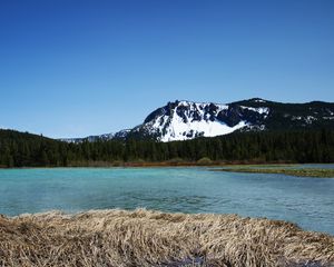 Preview wallpaper mountains, river, trees, forest, landscape