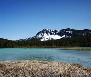 Preview wallpaper mountains, river, trees, forest, landscape