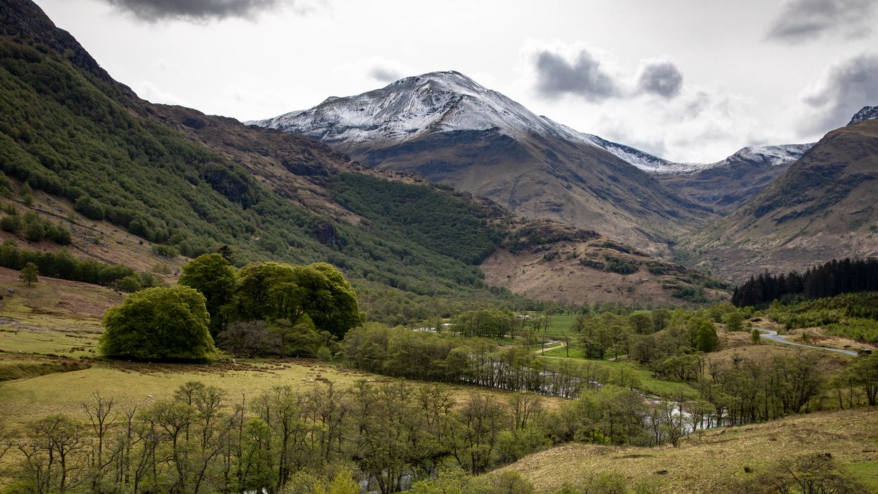 Wallpaper mountains, river, trees, landscape