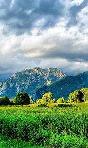 Preview wallpaper mountains, road, field corn, brightly, summer, greens