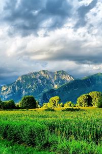 Preview wallpaper mountains, road, field corn, brightly, summer, greens