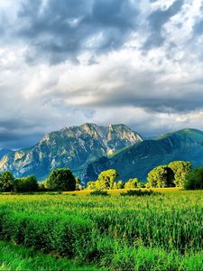 Preview wallpaper mountains, road, field corn, brightly, summer, greens