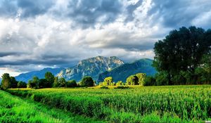 Preview wallpaper mountains, road, field corn, brightly, summer, greens