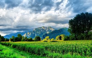 Preview wallpaper mountains, road, field corn, brightly, summer, greens