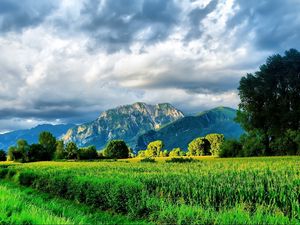 Preview wallpaper mountains, road, field corn, brightly, summer, greens