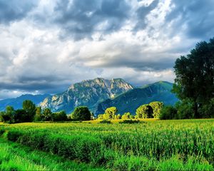 Preview wallpaper mountains, road, field corn, brightly, summer, greens