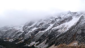 Preview wallpaper mountains, road, forest, wooden, winding