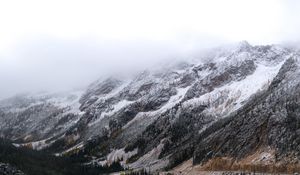 Preview wallpaper mountains, road, forest, wooden, winding