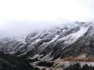 Preview wallpaper mountains, road, forest, wooden, winding