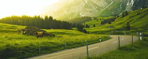 Preview wallpaper mountains, road, grass, sunlight, trees, landscape, switzerland
