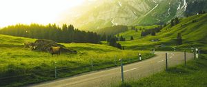 Preview wallpaper mountains, road, grass, sunlight, trees, landscape, switzerland