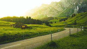 Preview wallpaper mountains, road, grass, sunlight, trees, landscape, switzerland