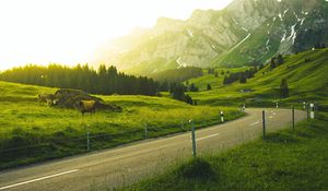 Preview wallpaper mountains, road, grass, sunlight, trees, landscape, switzerland