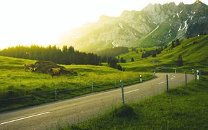 Preview wallpaper mountains, road, grass, sunlight, trees, landscape, switzerland