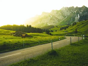 Preview wallpaper mountains, road, grass, sunlight, trees, landscape, switzerland