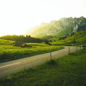 Preview wallpaper mountains, road, grass, sunlight, trees, landscape, switzerland