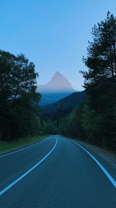 Preview wallpaper mountains, road, marking, trees, branches