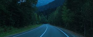 Preview wallpaper mountains, road, marking, trees, branches