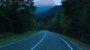 Preview wallpaper mountains, road, marking, trees, branches